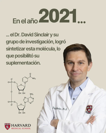 NAD + ADVANCED CATA-KOR